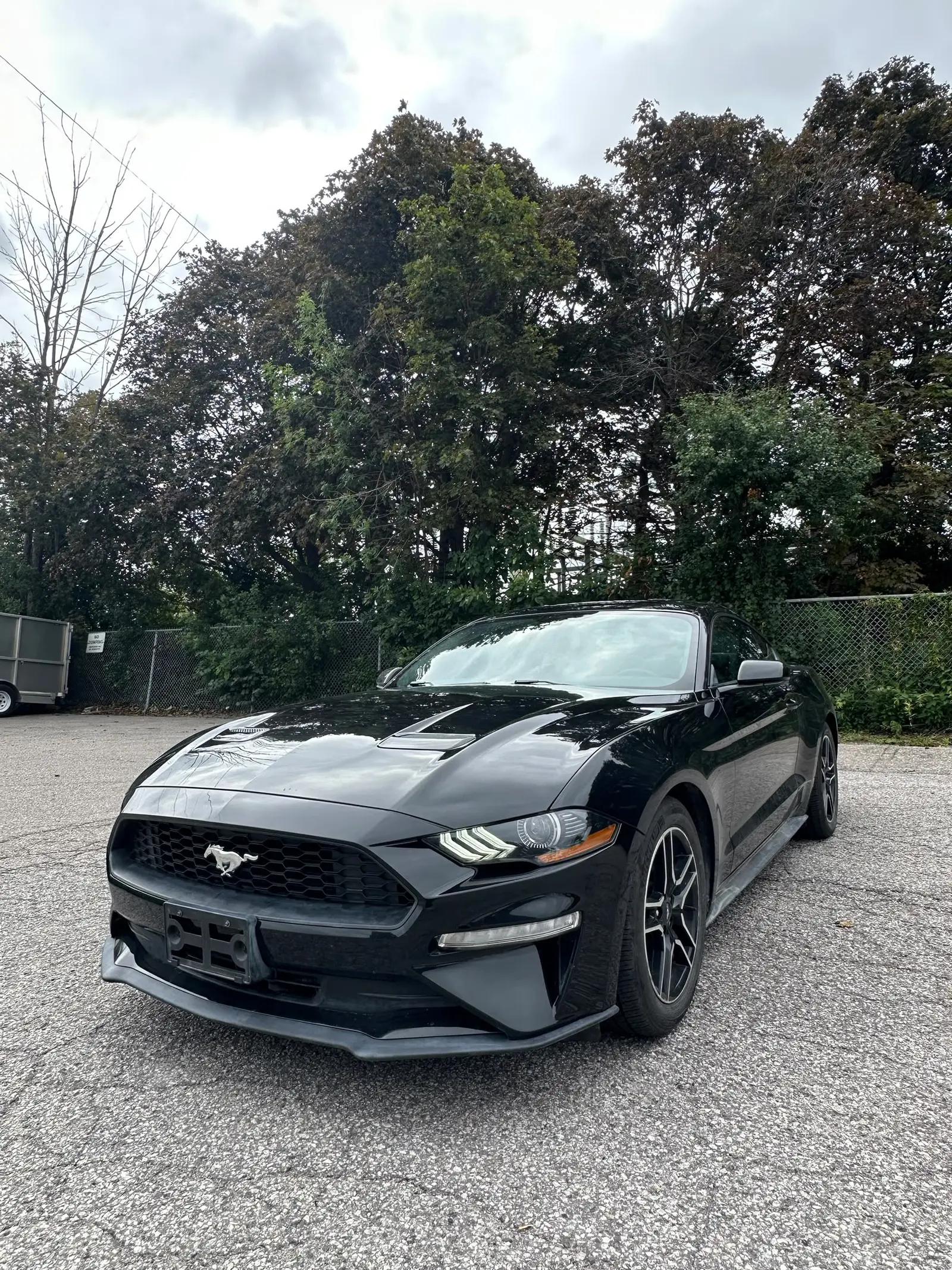 2020 Ford Mustang Ecoboost